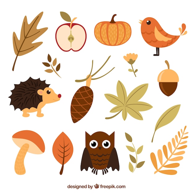 Free vector autumnal nature