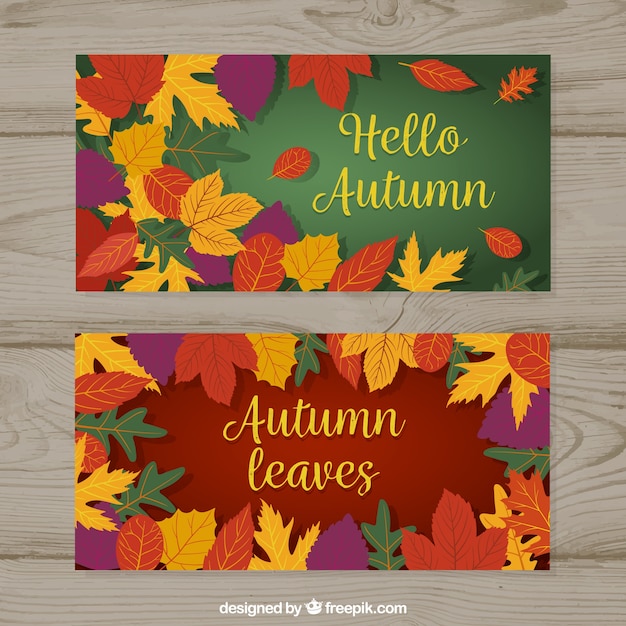 Autumnal set of banners with colorful leaves