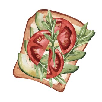 Avacado and tomato sandwich fast breakfast