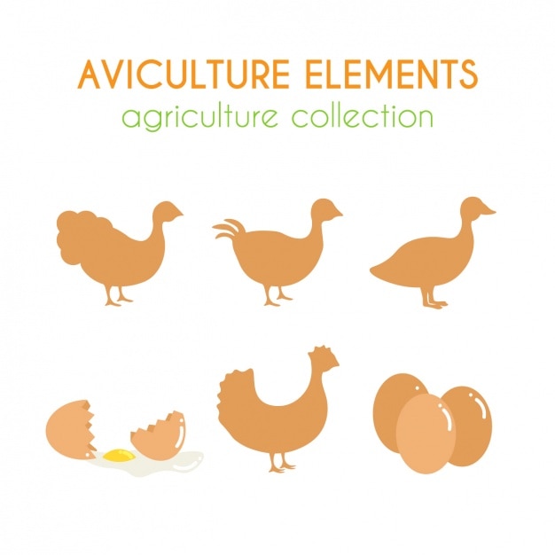 Free vector aviculture elements collection