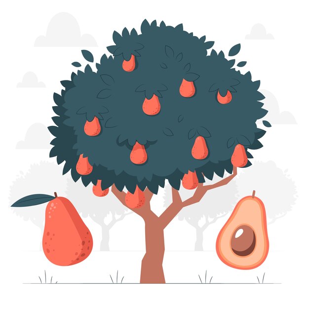 Иллюстрация концепции дерева авокадо