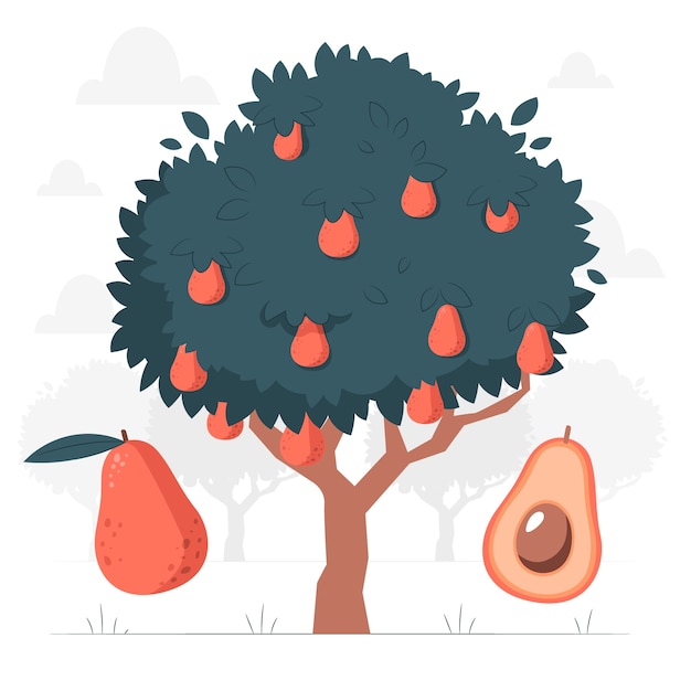 アボカドの木の概念図