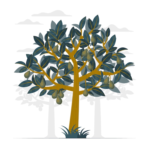 Avocado tree concept illustration