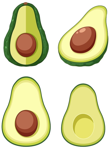 Free vector avocado in whole and half pieces