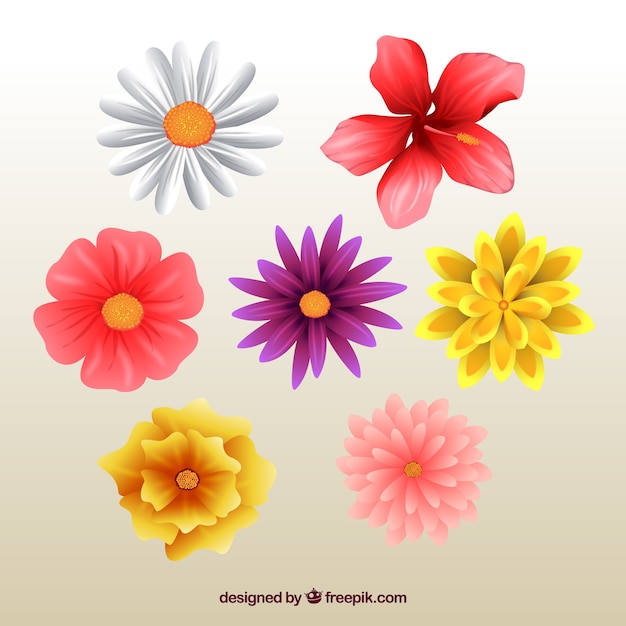 Awesome flowers in realistic style