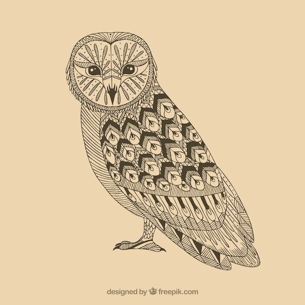 Awesome ornamental owl