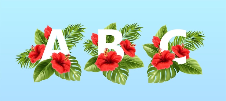 Free Vector a b c letters surrounded by summer tropical leaves and red hibiscus flowers