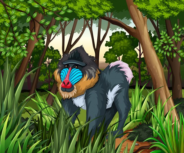 Бабуин, живущий в темном лесу