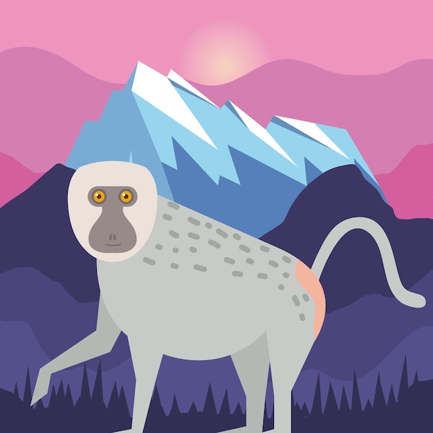 Baboon monkey and mountain