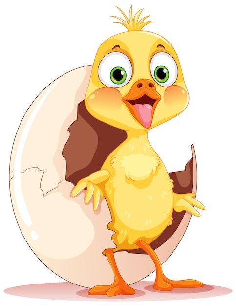 Free vector baby chicken hatching isolated