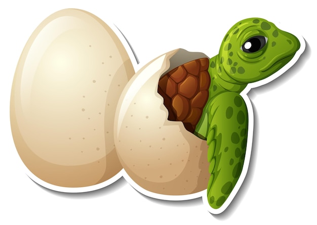 Baby turtle hatching from an egg animal cartoon sticker