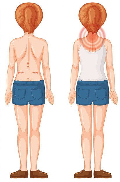 Human back Vectors & Illustrations for Free Download | Freepik