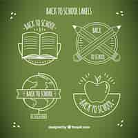 Free vector back to school label collection in chalk style