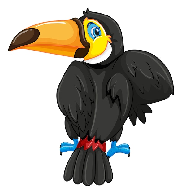 Back of toucan bird