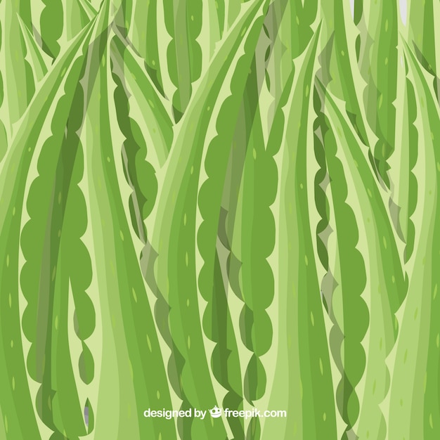 Background of aloe vera leaves
