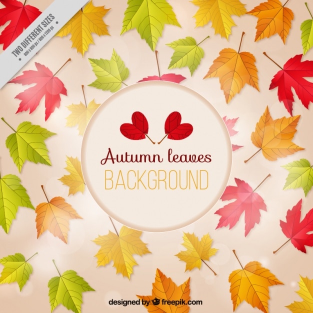Free Vector background of beautiful autumn leaves