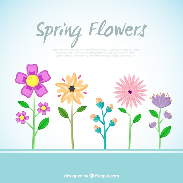 Free vector background of beautiful spring flowers