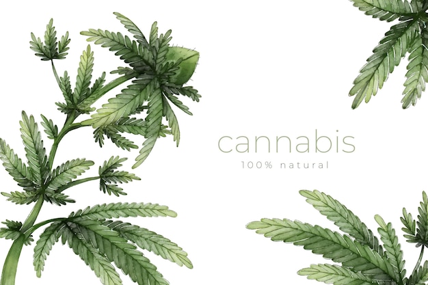 Background of botanical cannabis leaves