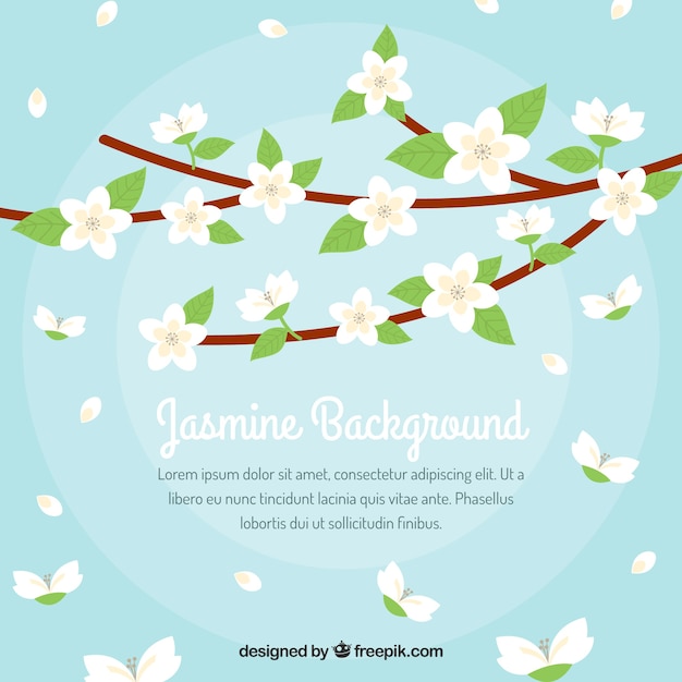 Background of branches with jasmine