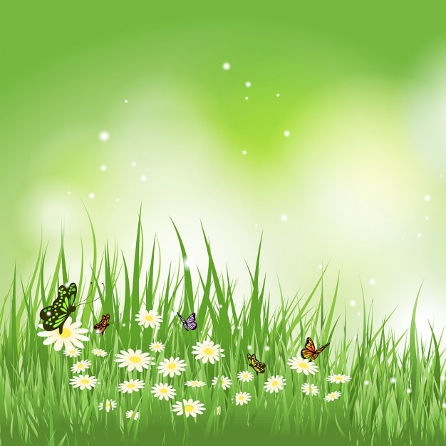 Free vector background of butterflies flying in a grass with daisies