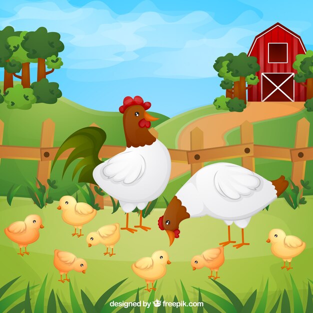 Background of chickens with chicks on the farm