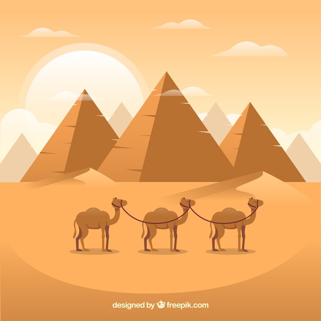 Background of egypt pyramids landscape with caravan of camels