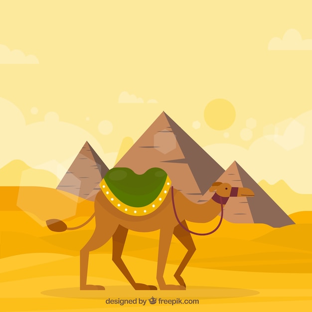 Background of egypt pyramids landscape with caravan of camels