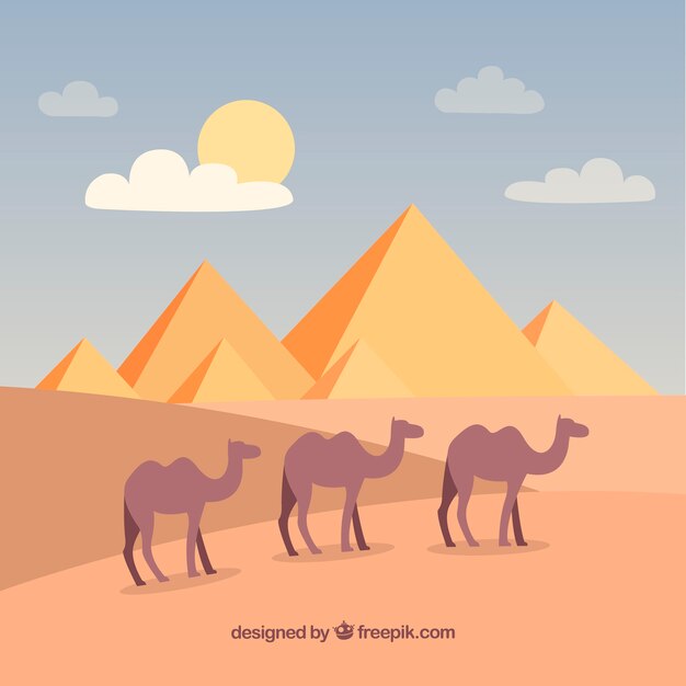 Фон пирамид Египта пейзаж с караваном верблюдов