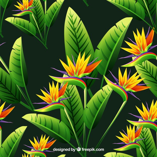 Background of flowers and tropical leaves