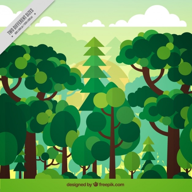 Background of green forest in flat design