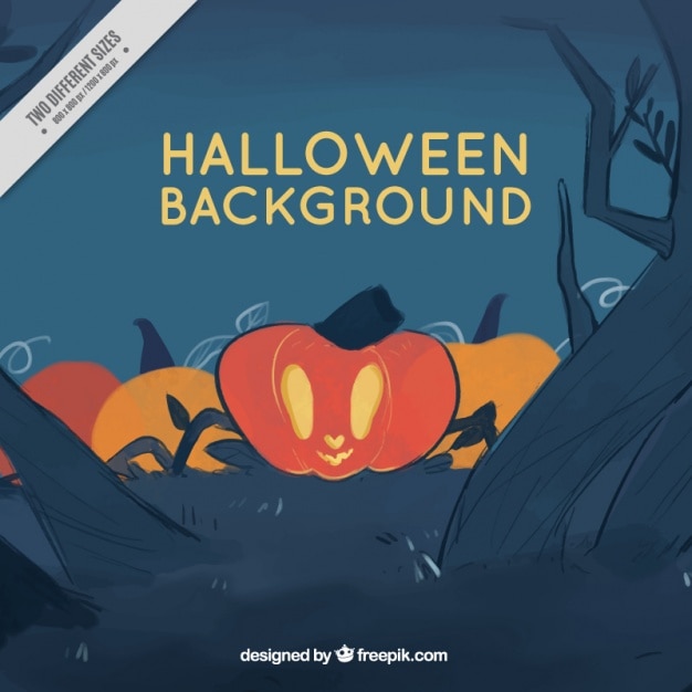 Background halloween pumpkin sketches