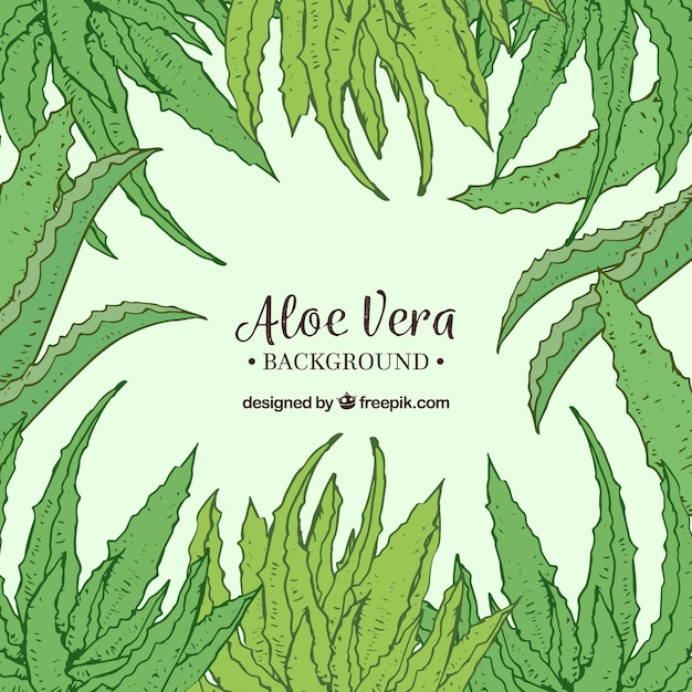 Free vector background of hand drawn aloe vera leaves