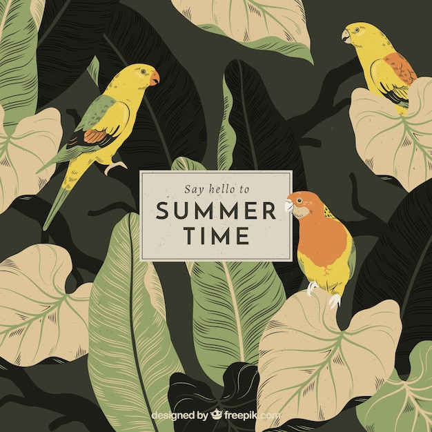 Free vector background of hello summer with birds and plants in vintage style