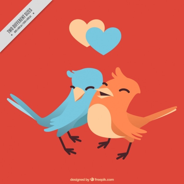 Background of loving couple of birds