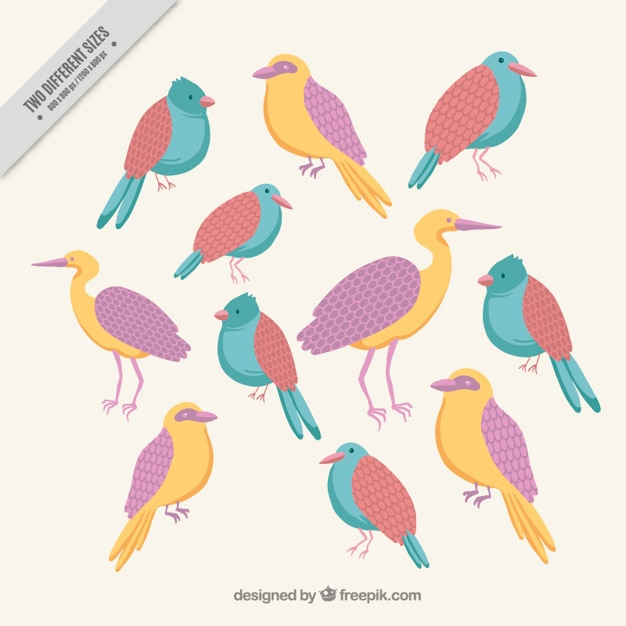 Бесплатное векторное изображение Фон из красивых птиц в пастельных тонах