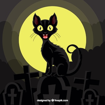 묘지에 검은 고양이의 배경