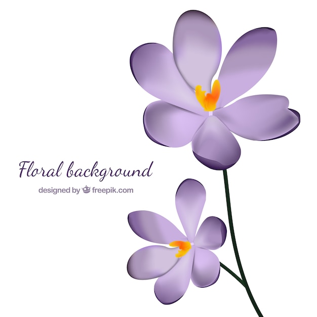 無料ベクター 現実的なスタイルのかなり紫色の花の背景