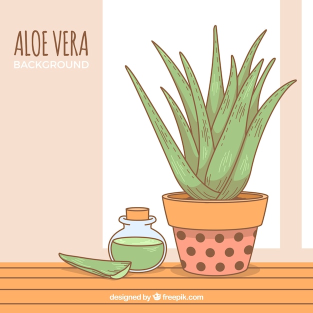 Vettore gratuito sfondo di grazioso vaso da fiori aloe vera disegnato a mano