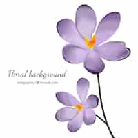 Free vector background of pretty purple flowers in realistic style