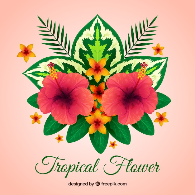 Background of pretty tropical flowers with leaves