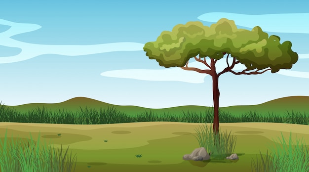 Background scene with one tree in the field