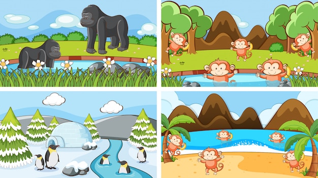 Background scenes of animals in the wild