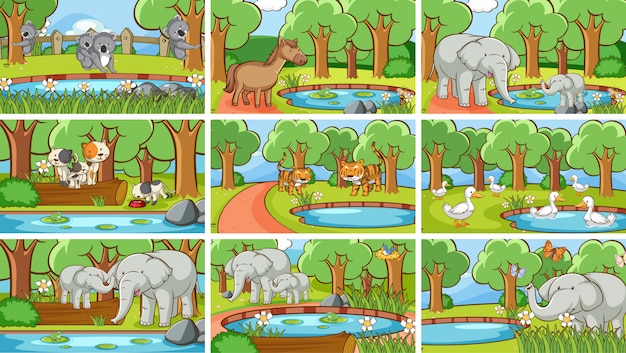 Background scenes of animals in the wild