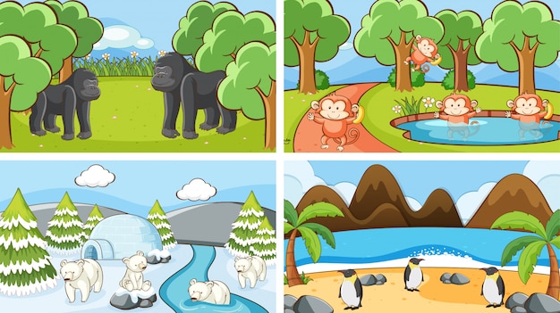 Background scenes of animals in the wild