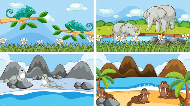 Free vector background scenes of animals in the wild