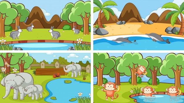 Background scenes of animals in the wild