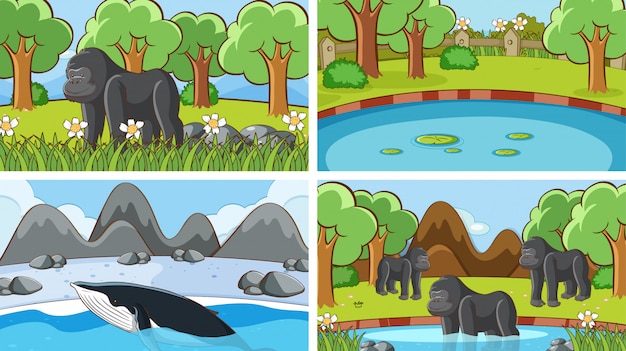 Background scenes of animals in the wild