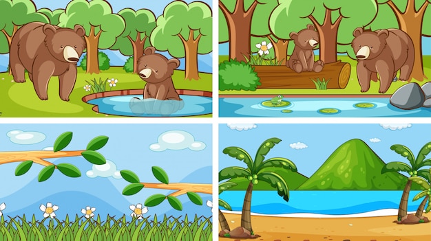 Background scenes of animals in the wild