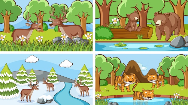 Free vector background scenes of animals in the wild