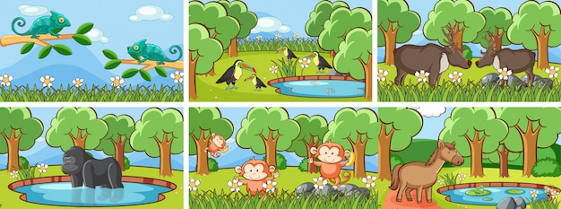 Background scenes of animals in the wild